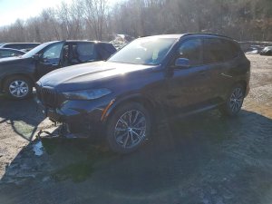 BMW BMW X5 XDRIVE50E