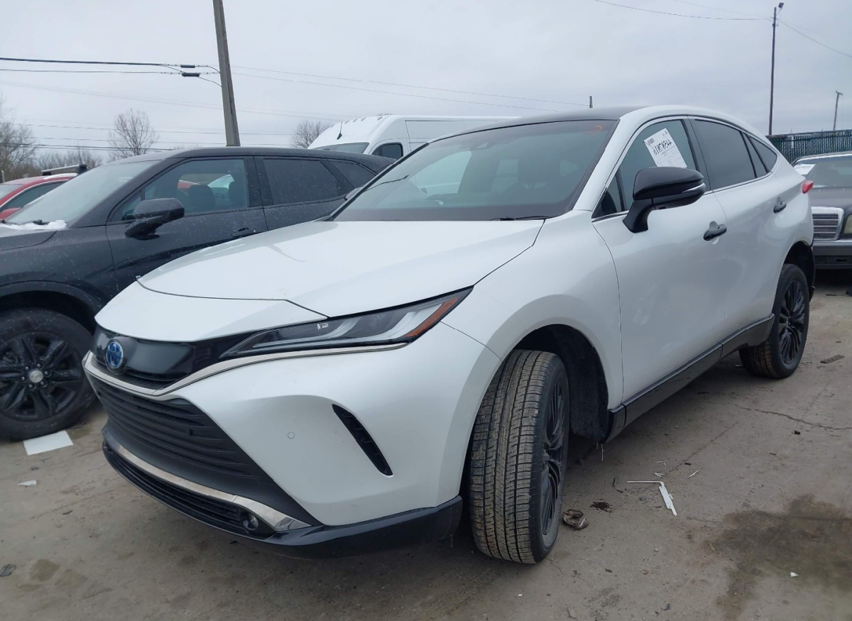 Toyota TOYOTA VENZA NIGHTSHADE EDITION