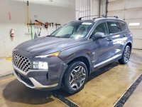 Hyundai Santa Fe, Sel Premium