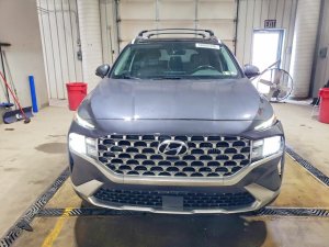 Hyundai Santa Fe, Sel Premium