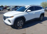 Hyundai Tucson, Hybrid Blue