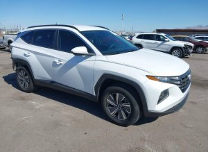 Hyundai Tucson, Hybrid Blue