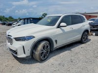 BMW X5 XDRIVE50E