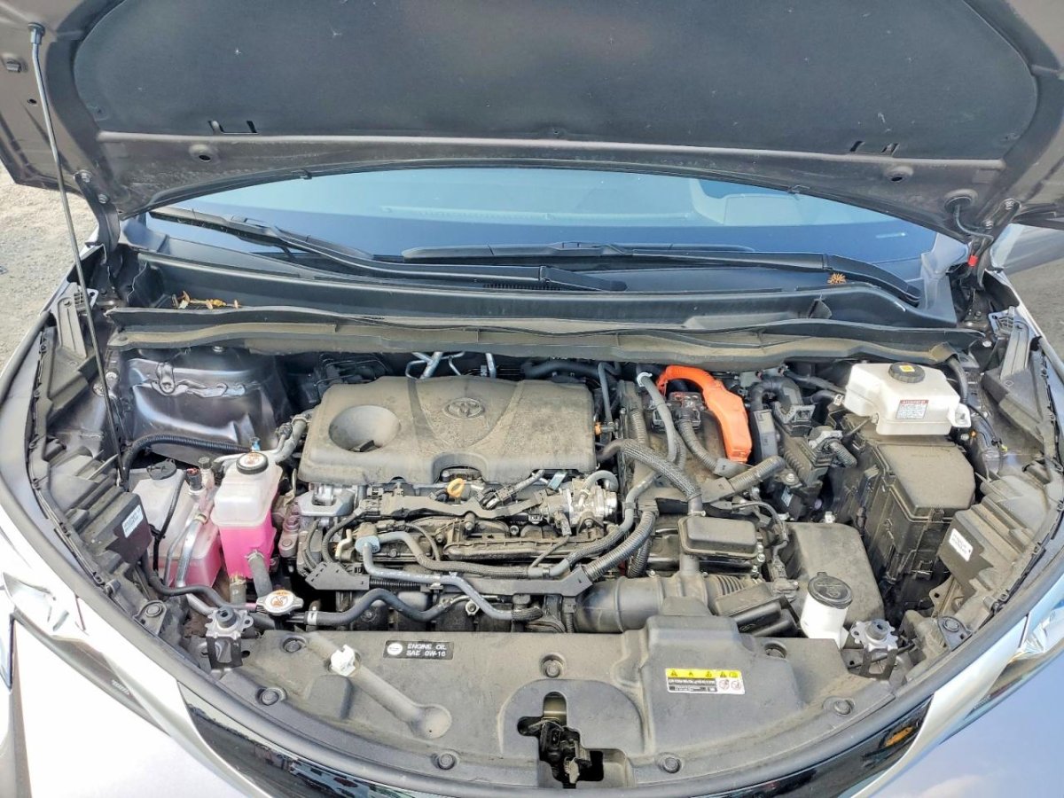 Toyota Platinum 7-Passenger