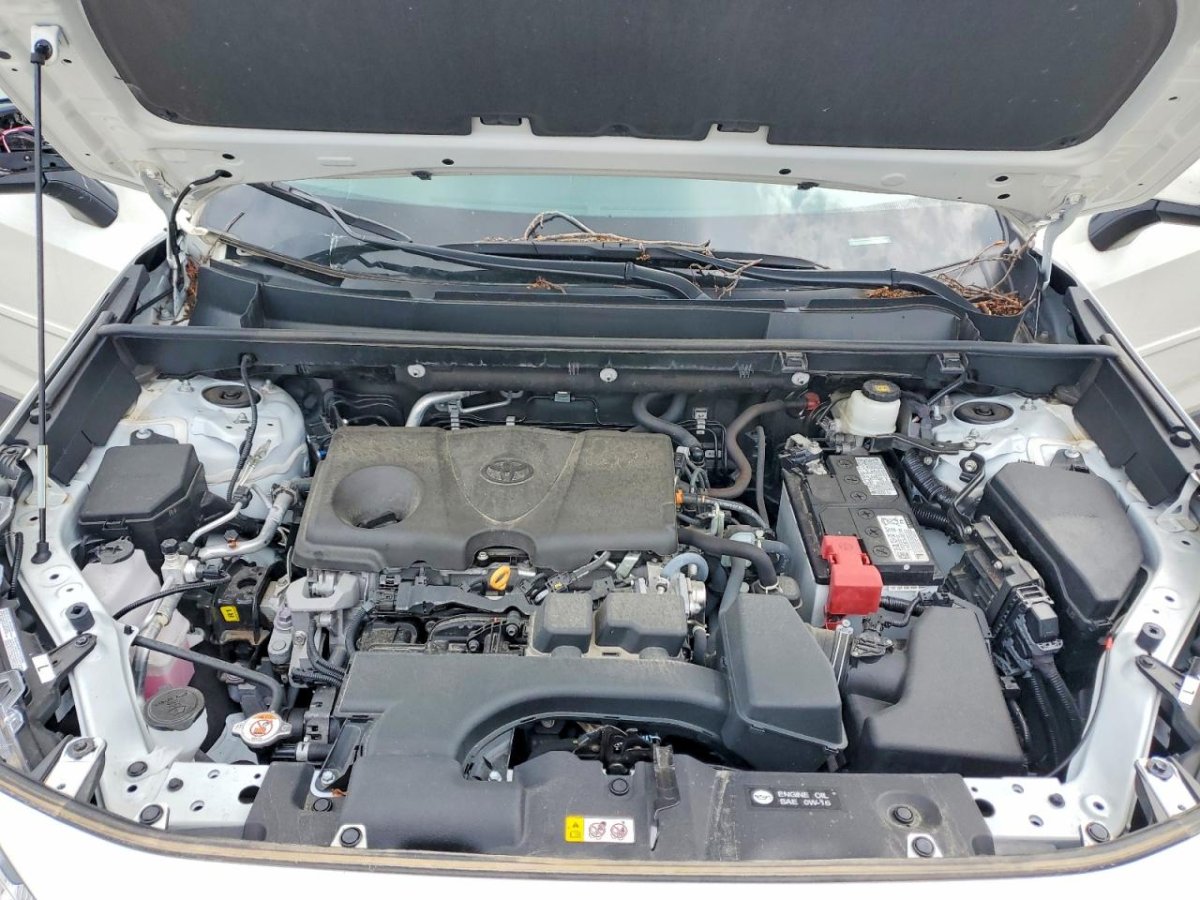 Toyota RAV4 XLE PREMIUM