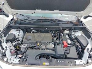Toyota RAV4 XLE PREMIUM