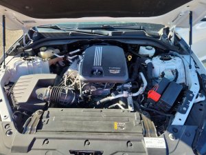 Cadillac CT5, Sport