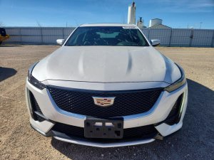 Cadillac CT5, Sport
