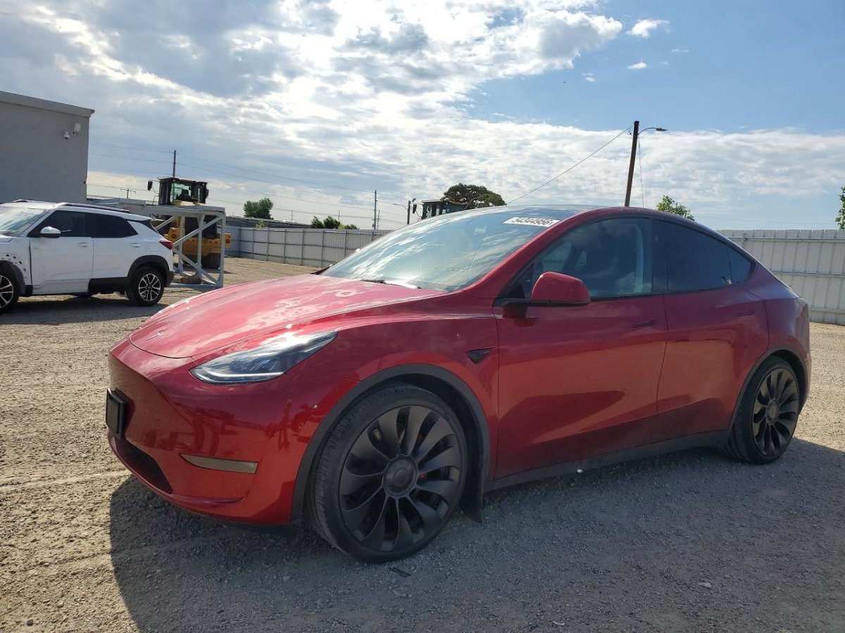 Tesla MODEL Y