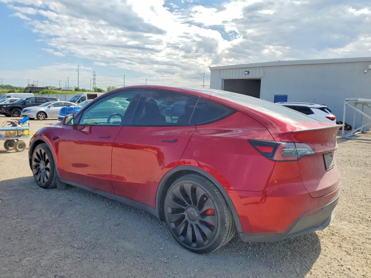 Tesla MODEL Y