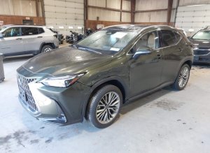 Lexus NX 350H LUXURY