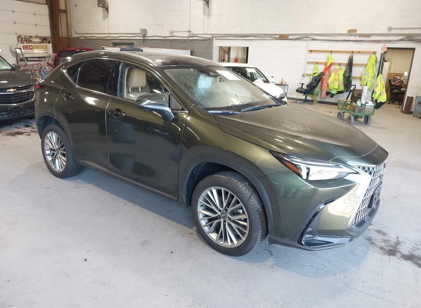 Lexus NX 350H LUXURY