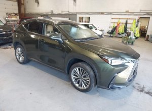 Lexus NX 350H LUXURY