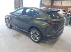 Lexus NX 350H LUXURY