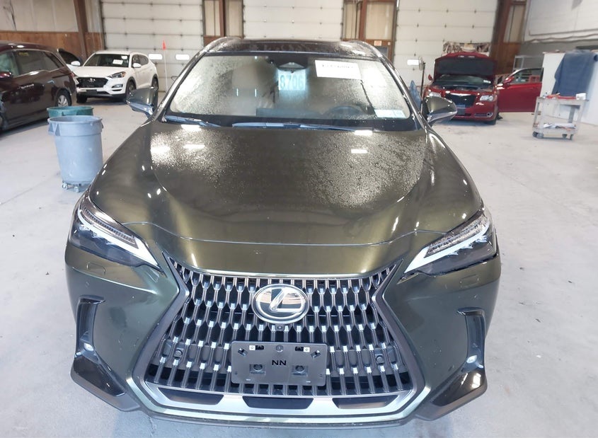 Lexus NX 350H LUXURY