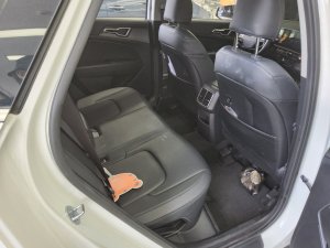 Kia THE NEW SPORTAGE 2.0 LPG PRESTIGE
