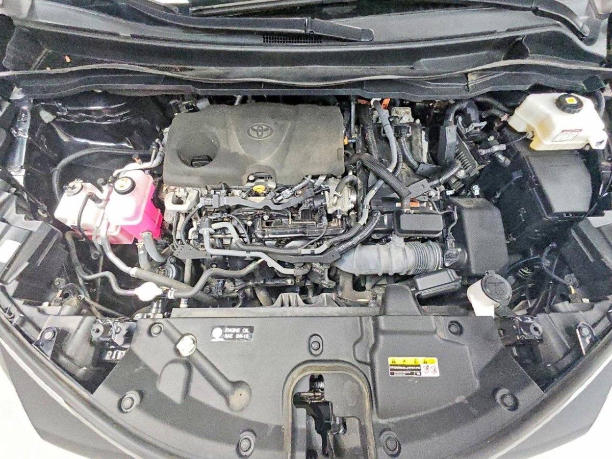 Toyota SIENNA XLE