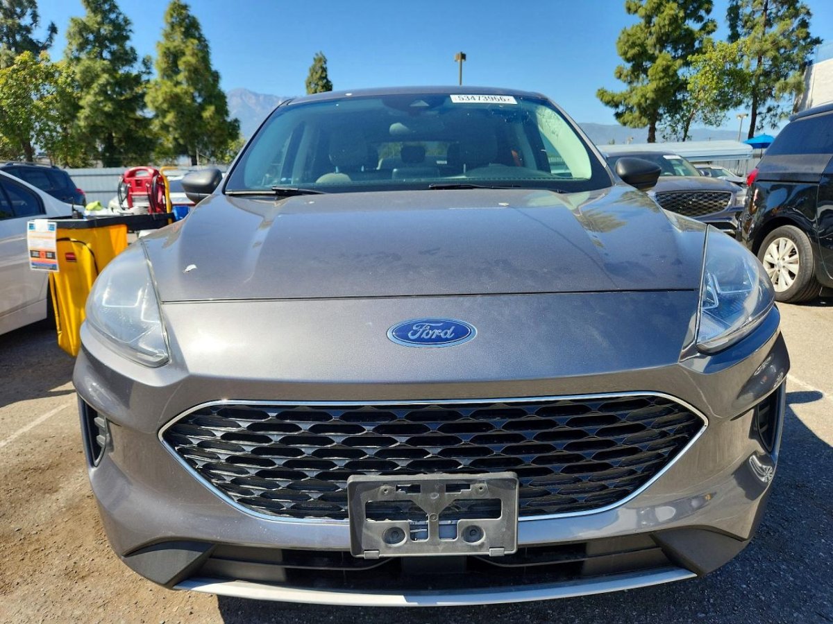 Ford ESCAPE HYBRID SE