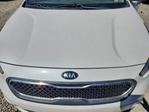 Kia NIRO LX