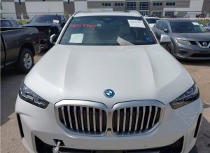 BMW X5 Phev, Xdrive50E