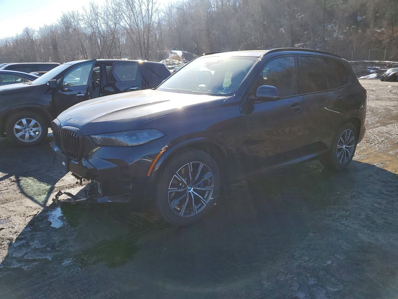 BMW BMW X5 XDRIVE50E