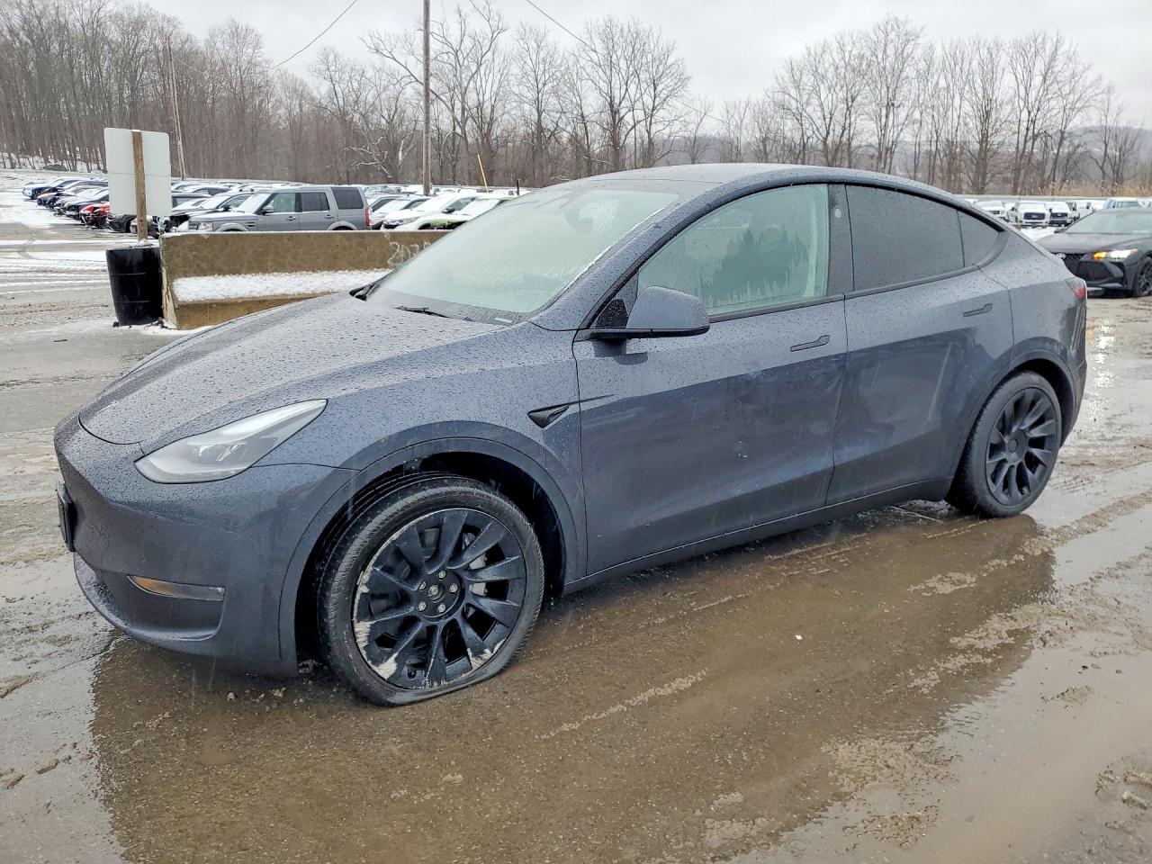 Tesla MODEL Y